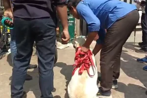 Howrah Bomb Threat: हावड़ा मुख्य डाकघर में बम की धमकी, कर्मचारियों में मची अफरा-तफरी