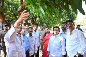 AI for Mango Farmers: आम उत्पादकों को ‘AI’ का कवच, जलवायु संकट से निपटने को 4.5 करोड़ का फंड मंजूर