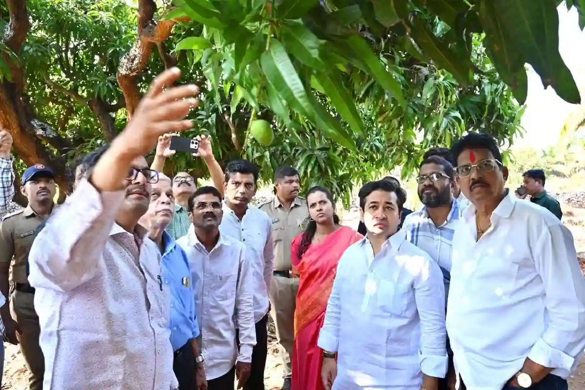 AI for Mango Farmers: आम उत्पादकों को ‘AI’ का कवच, जलवायु संकट से निपटने को 4.5 करोड़ का फंड मंजूर