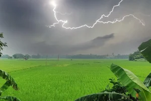 महाराष्ट्र में 17 से 20 मार्च के बीच गरज-चमक के साथ बारिश की चेतावनी, विदर्भ-मराठवाड़ा के किसान रहें सावधान