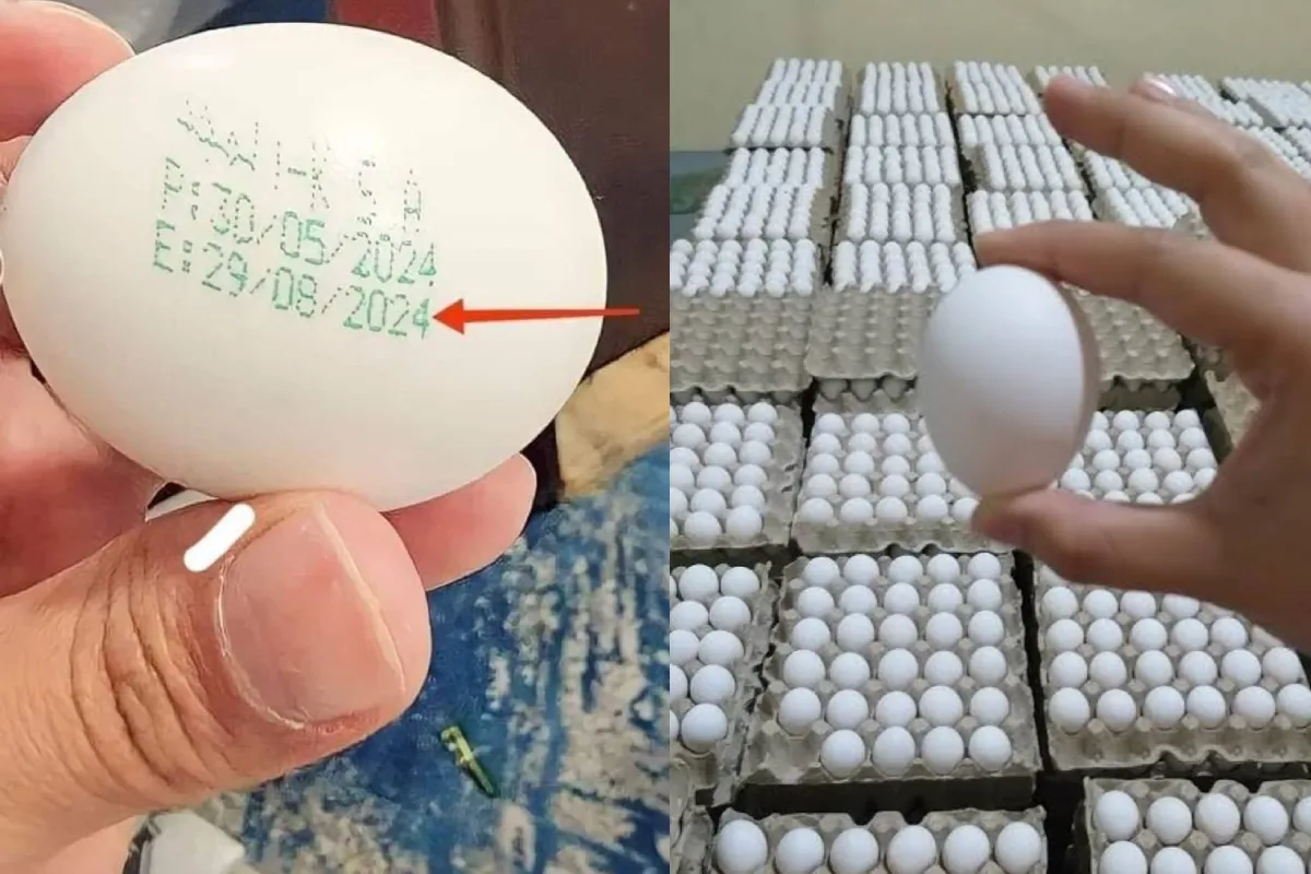अब हर अंडे पर होगी ‘जन्म तिथि’ और एक्सपायरी डेट, 1 अप्रैल से लागू होगा नया नियम