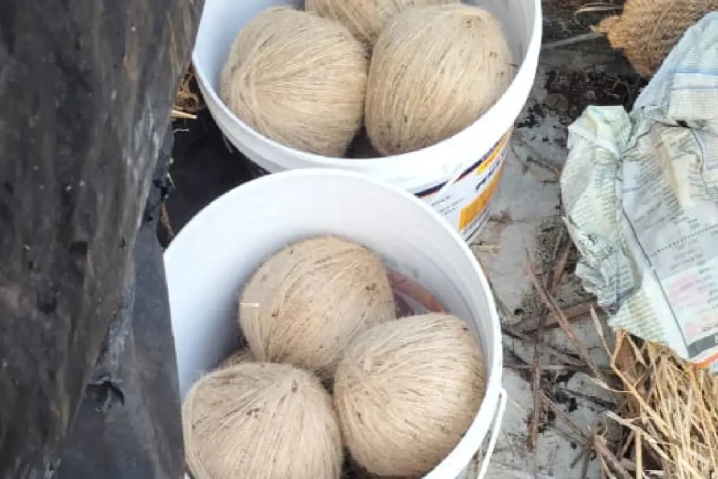 West Bengal News: चुनाव से पहले मिनाखां में बड़ी बरामदगी, नजीबुर मोल्ला के घर से 22 जिंदा बम बरामद, आरोपी फरार