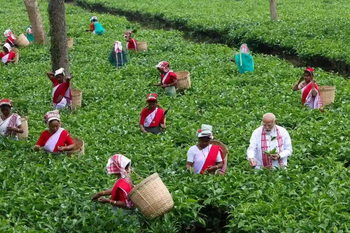 असम के चाय बागान पहुंचे पीएम मोदी, महिलाओं संग तोड़ी चाय की पत्तियां