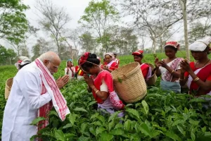 असम के चाय बागान पहुंचे पीएम मोदी