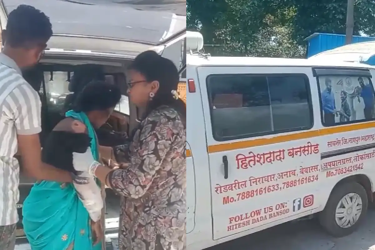 Kalmeshwar road accident Dhapewada Nagpur: नागपुर के धापेवाड़ा में अज्ञात वाहन की टक्कर से तीन घायल। सुरेश मसराम गंभीर, मेडिकल अस्पताल में भर्ती। पुलिस जांच जारी।