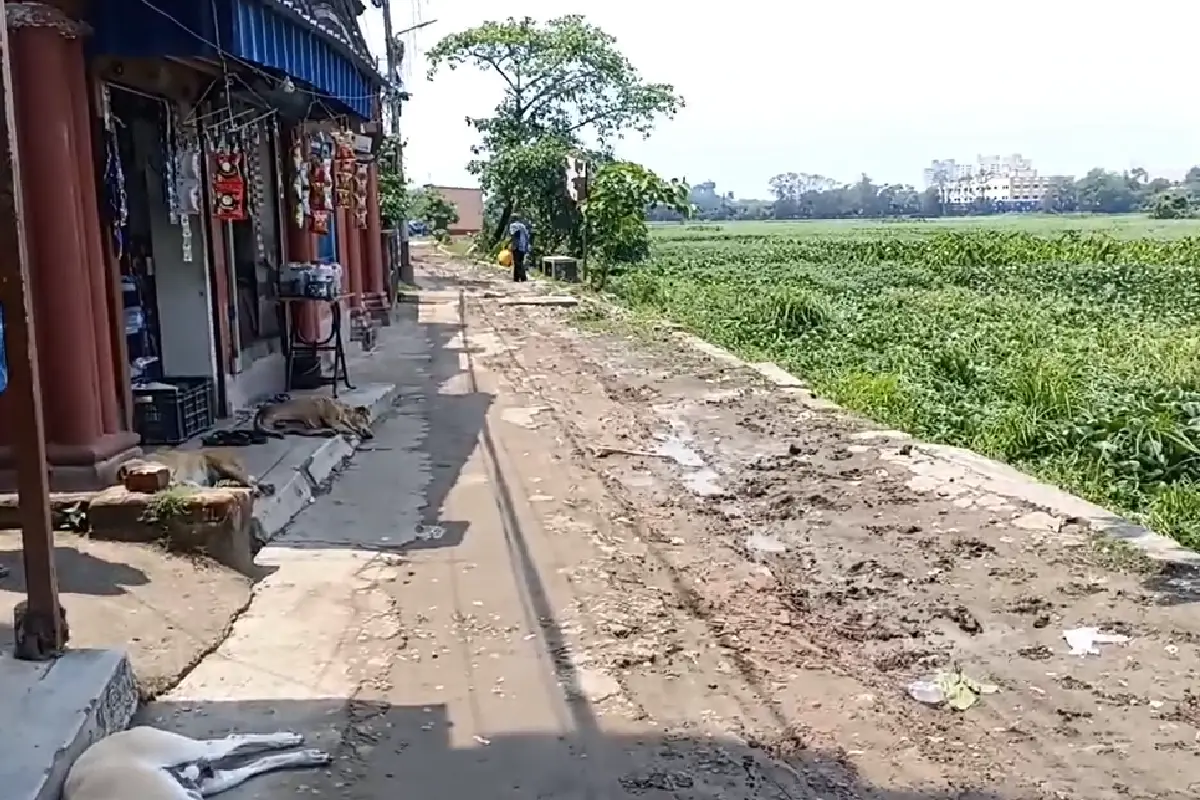 Santragachhi lake residents vote boycott bad roads Howrah: हावड़ा के संतरागाछी पक्षी विहार झील किनारे के निवासियों ने टूटी सड़कों के विरोध में चुनाव बहिष्कार का ऐलान किया। "सड़क नहीं तो वोट नहीं" की माँग।