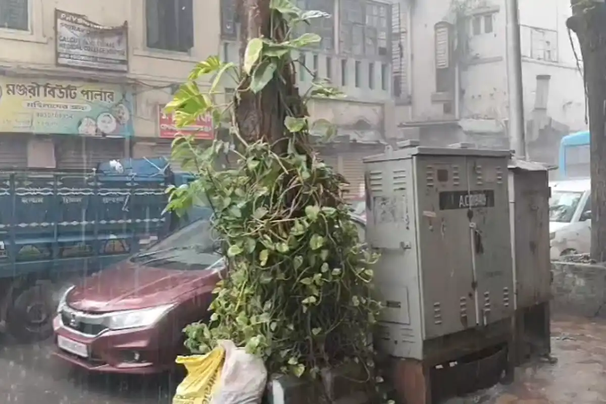 West Bengal weather forecast today: आज दक्षिण बंगाल में बारिश की संभावना, सप्ताहांत में बढ़ेगा तापमान
