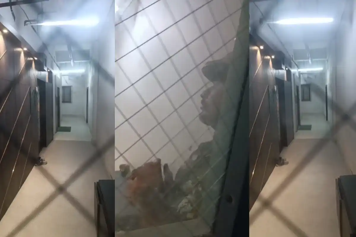 चुनाव से पहले ईडी (ED) का बड़ा एक्शन, रेशन घोटाले में पश्चिम बंगाल के 12 ठिकानों पर एक साथ छापेमारी 12 ED raid West Bengal ration distribution scam: चुनाव से पहले राज्य में रेशन घोटाले पर बड़ी कार्रवाई