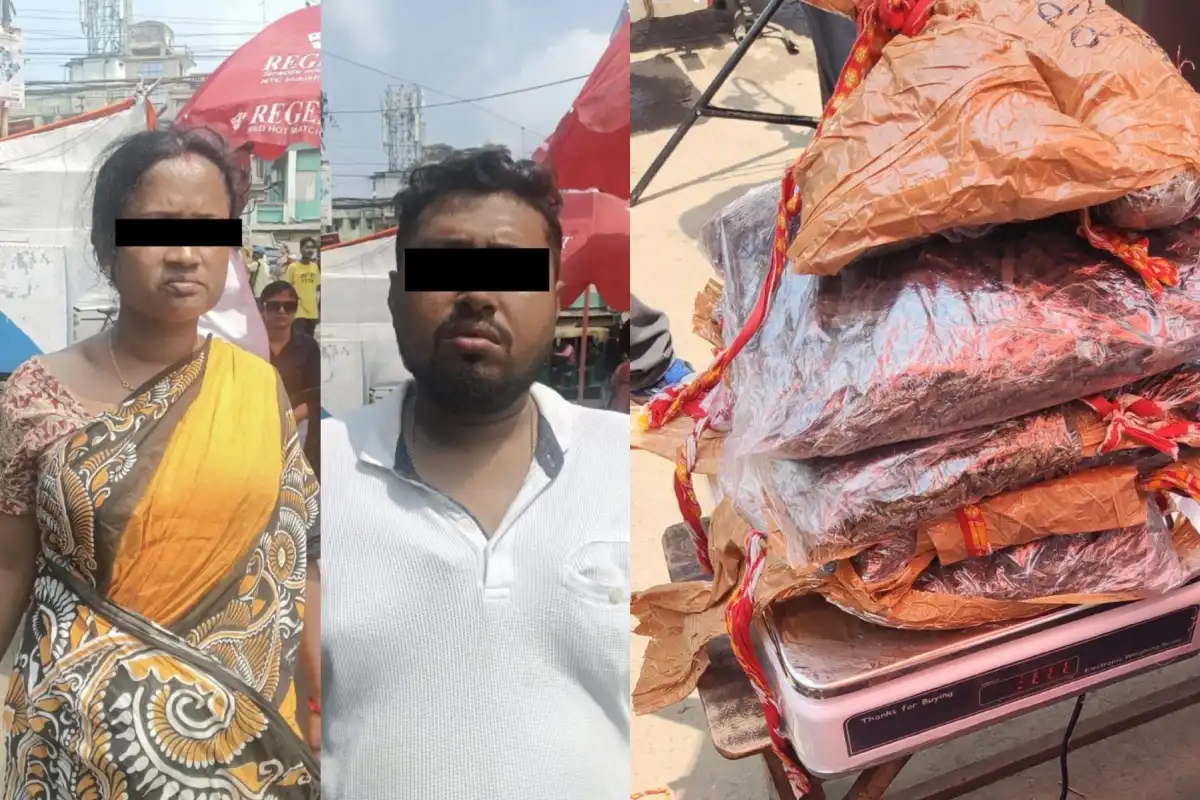 Kolkata STF ganja seizure Dumdum Babughat arrest: महिला के शरीर से 3.7 किलो गांजा बरामद, दो गिरफ्तार — बाबूघाट से 14.6 किलो और जब्त