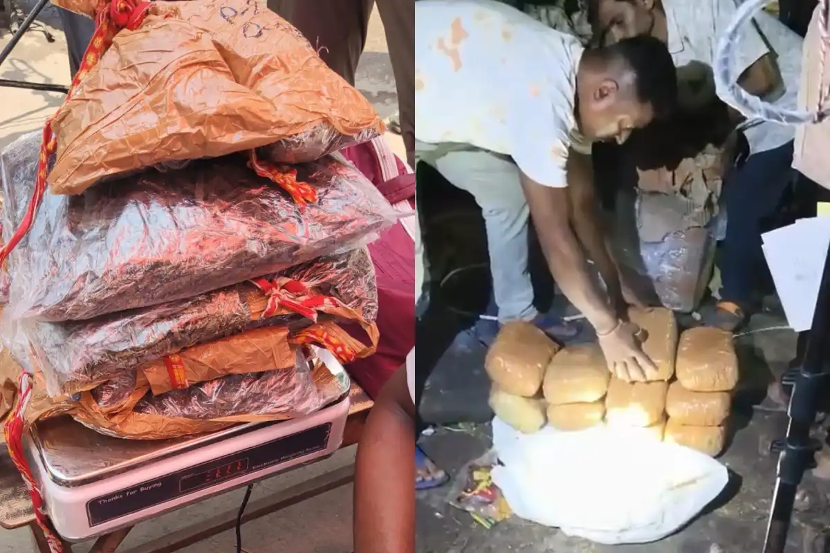 कोलकाता STF का बड़ा ऑपरेशन: महिला के शरीर से 3.7 किलो गांजा बरामद, दो गिरफ्तार, बाबूघाट से 14.6 किलो और जब्त 12 Kolkata STF ganja seizure Dumdum Babughat arrest: महिला के शरीर से 3.7 किलो गांजा बरामद, दो गिरफ्तार — बाबूघाट से 14.6 किलो और जब्त