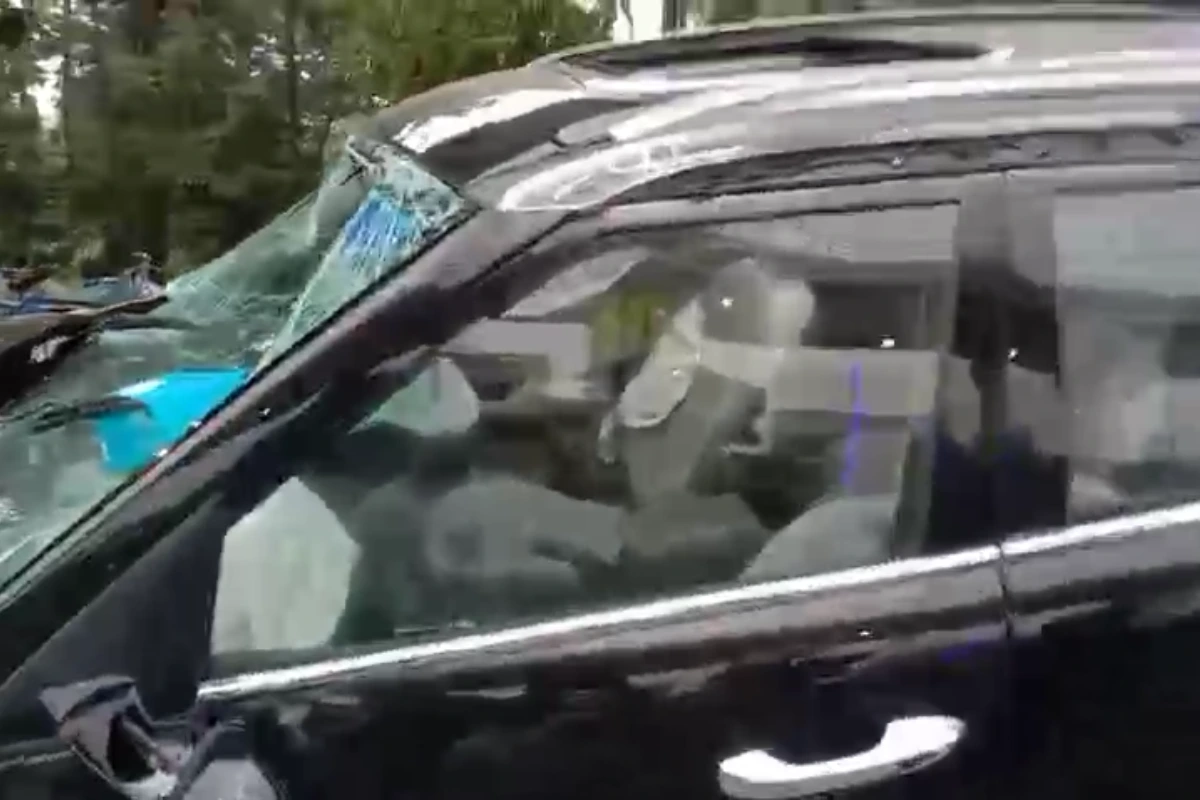 Photos: कोलकाता सेक्टर फाइव मेट्रो के पास दो कारों की टक्कर, तेज रफ्तार हादसे में चालक घायल 13 Kolkata Sector V car accident: कोलकाता सेक्टर फाइव मेट्रो के पास कार हादसे में चालक घायल। पुलिस को शराब पीकर ड्राइविंग का शक, न्यू टाउन मार्ग पर टक्कर।