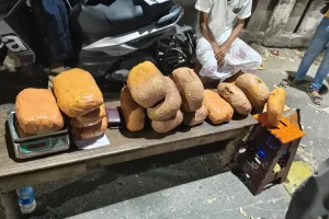 कोलकाता में एसटीएफ की कार्रवाई, 14.660 किलो गांजा के साथ दो लोग पकड़े गए