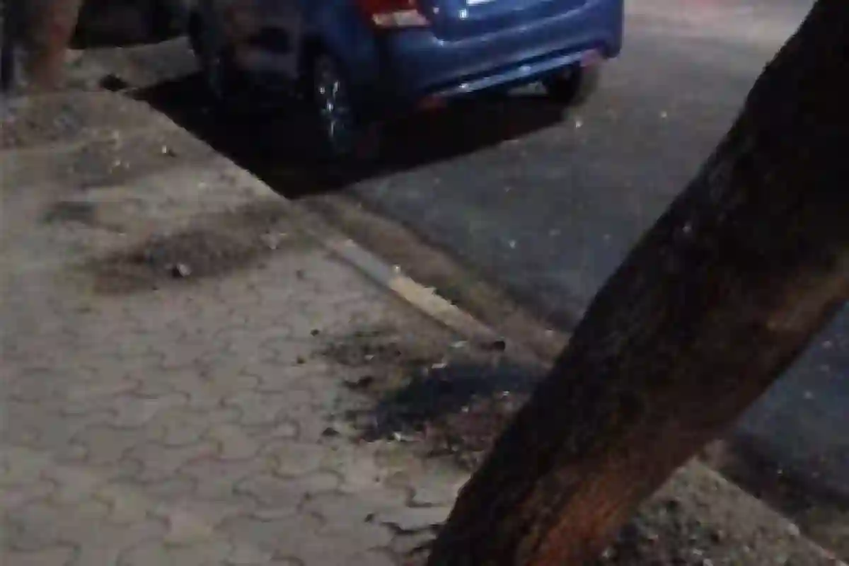 NGT Violation Tree Protection India 