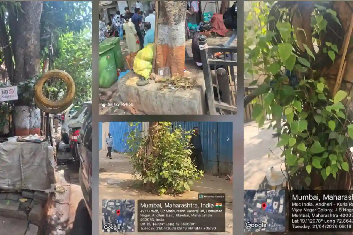 NGT Violation Tree Protection India 