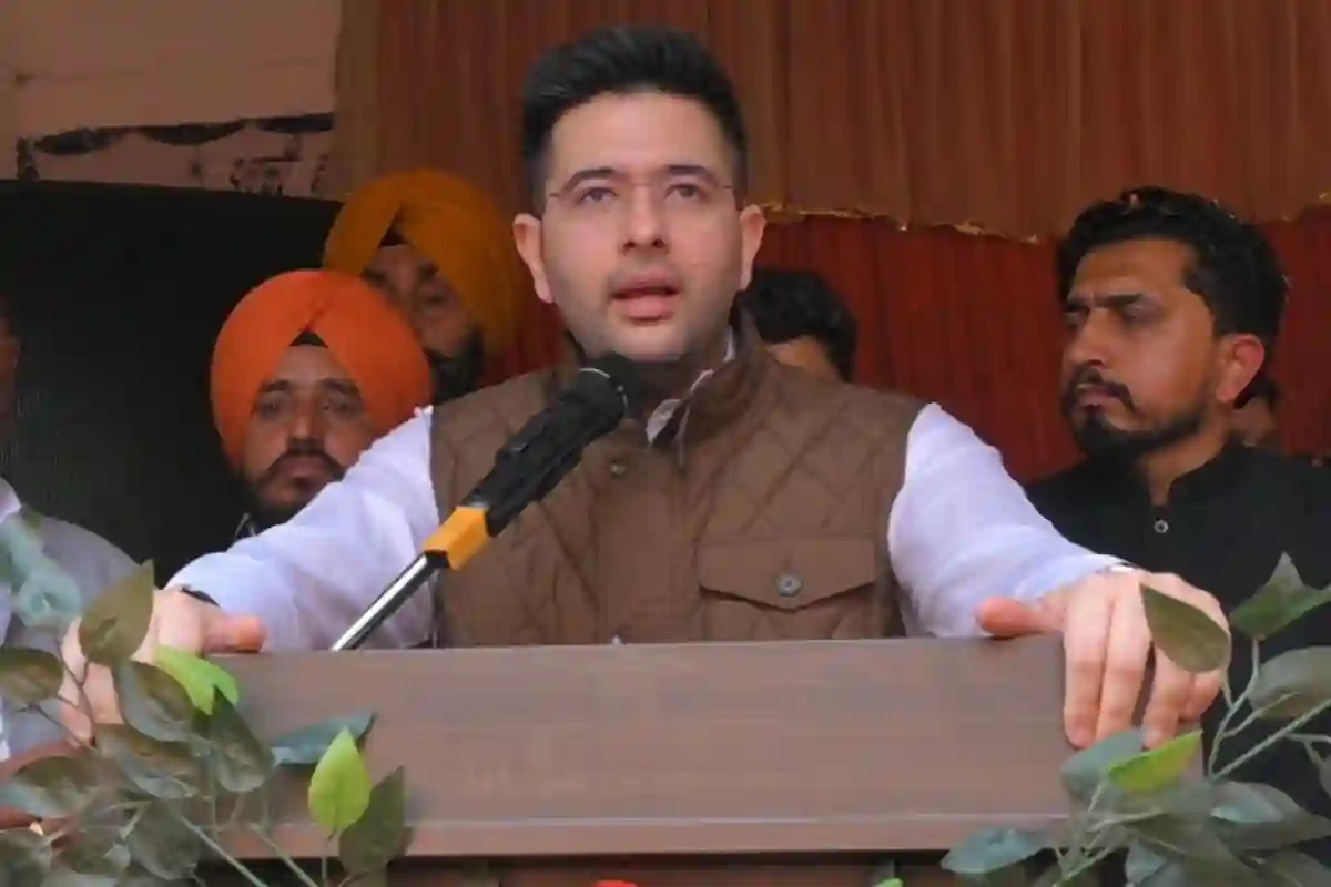 AAP Rajya Sabha split 2026