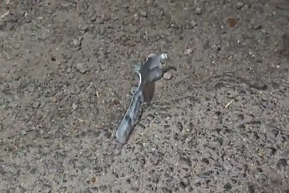 Bhatpara CISF jawan shot Jagatdal election violence: भाटपाड़ा में चुनाव से पहले हिंसा, जवान घायल