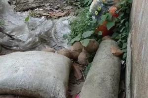 North 24 Parganas News: हाबड़ा में आठ जिंदा बम मिलने से इलाके में डर, चुनाव के आखिरी दिन बढ़ी हलचल