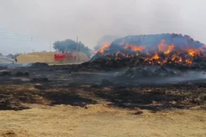 नागपुर के मौदा में लगी भीषण आग, 3 हजार टन से अधिक धान के पेढ़े जलकर राख, करोड़ों का नुकसान 