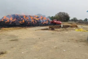 नागपुर के मौदा में लगी भीषण आग, 3 हजार टन से अधिक धान के पेढ़े जलकर राख, करोड़ों का नुकसान 