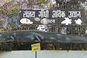 बिहार कैबिनेट का बड़ा फैसला: पटना चिड़ियाघर और डेयरी संस्थान से हटेगा संजय गांधी का नाम, जानिए नया नाम