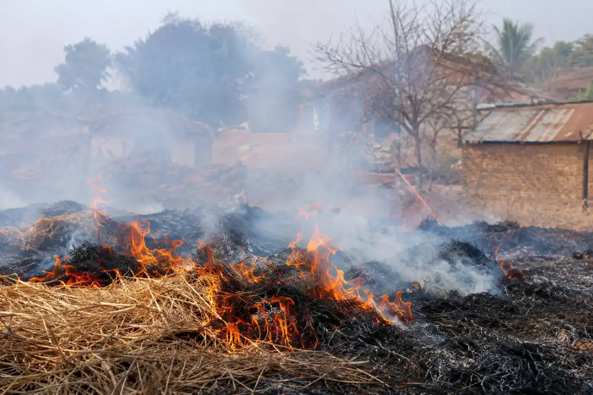 Nagpur crop residue burning ban: नागपुर में खेतों में कृषि कचरा जलाने पर प्रशासन ने लगाया सख्त प्रतिबंध