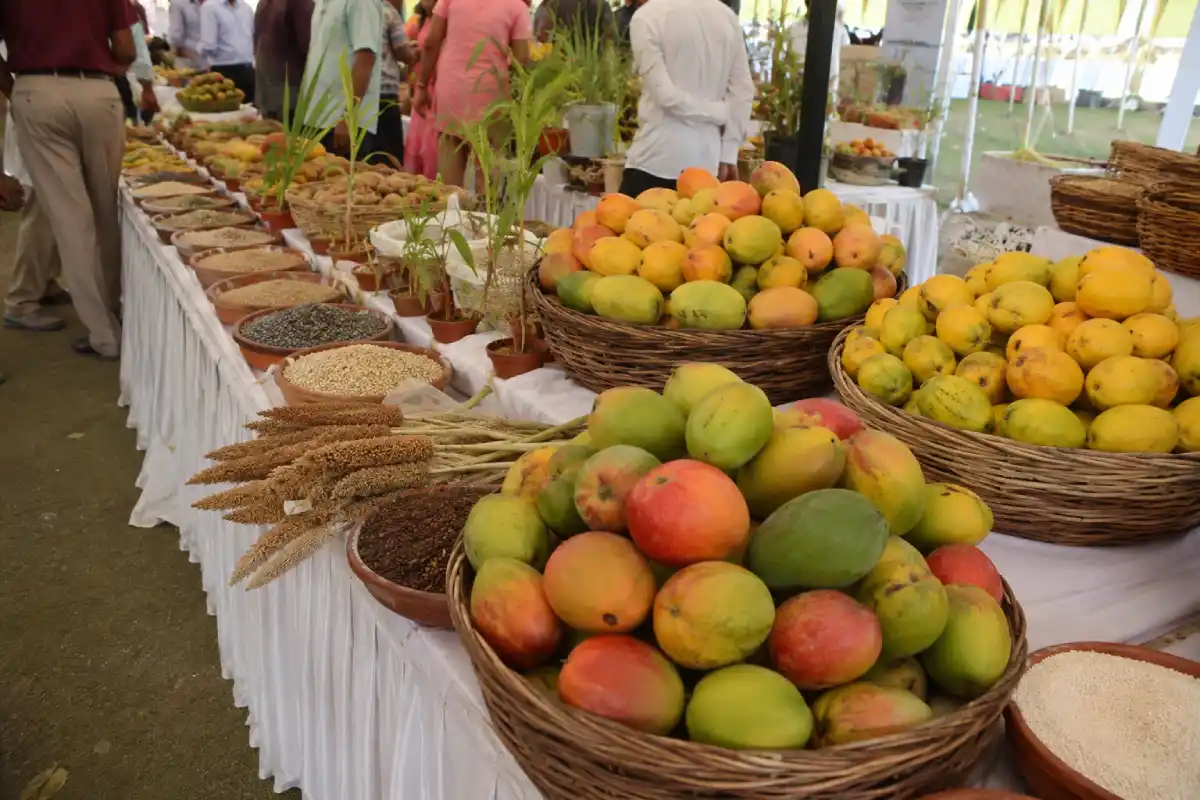 Aam Millets Dhanya Mahotsav Nagpur: नागपुर में आम, मिलेट्स और धान्य महोत्सव का भव्य आयोजन शुरू