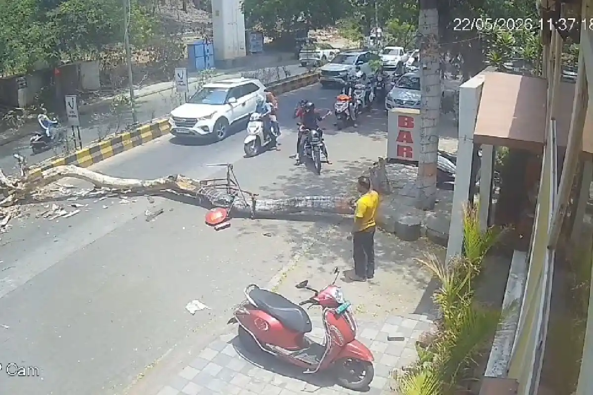 Nagpur tree falls Ambazari Lake Road: अंबाझरी लेक रोड पर विशाल पेड़ गिरने से बड़ा हादसा टला