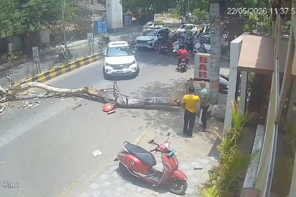 Nagpur tree falls Ambazari Lake Road: अंबाझरी लेक रोड पर विशाल पेड़ गिरने से बड़ा हादसा टला