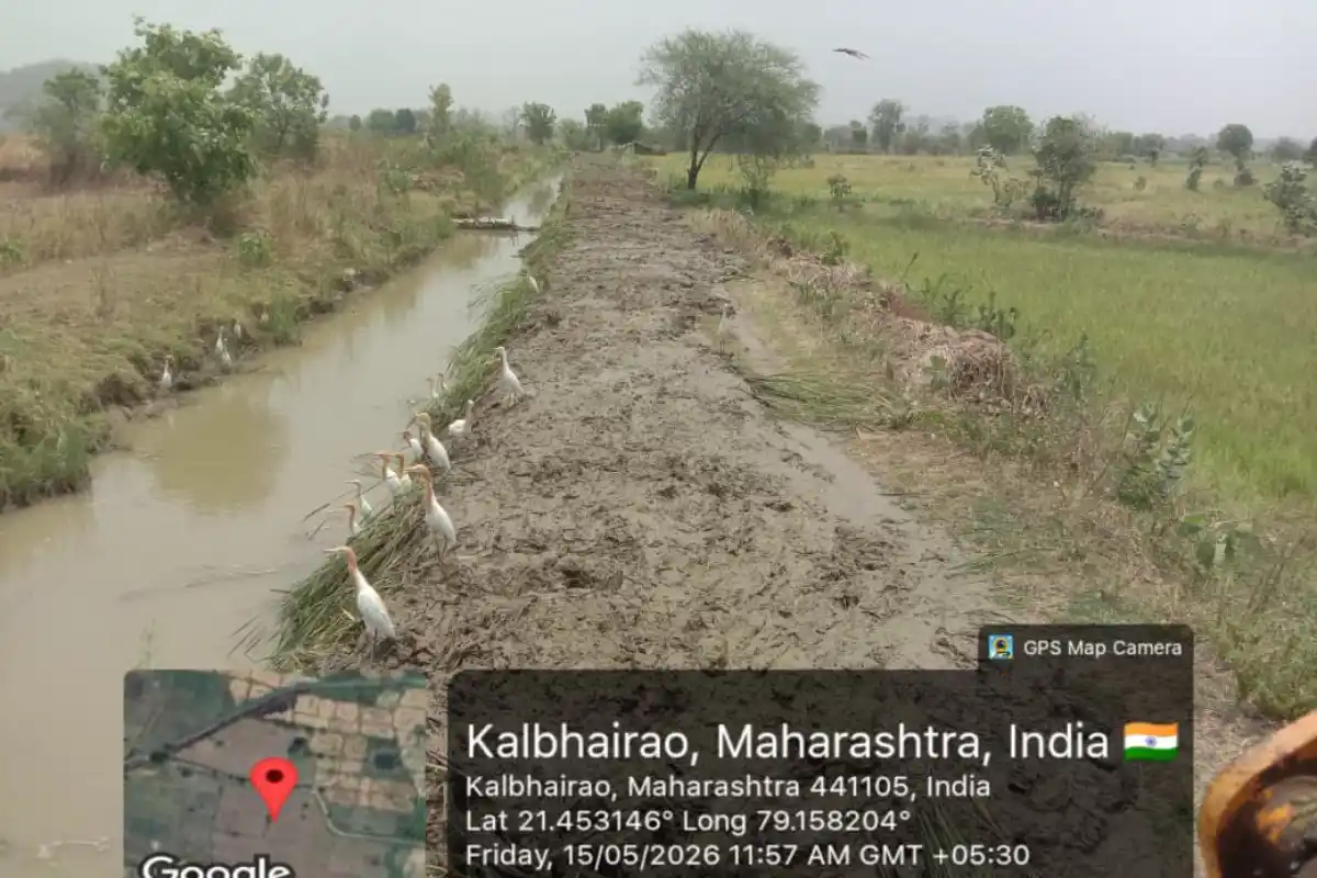 Pench canal cleaning campaign Naam Foundation Nagpur: पेंच नहरों की सफाई और मरम्मत से किसानों को मिलेगा बेहतर सिंचाई पानी