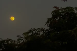 आज शाम आसमान में दिखेगा दुर्लभ ‘ब्लू मून’ का अद्भुत नजारा, जानिए भारत में देखने का सही समय