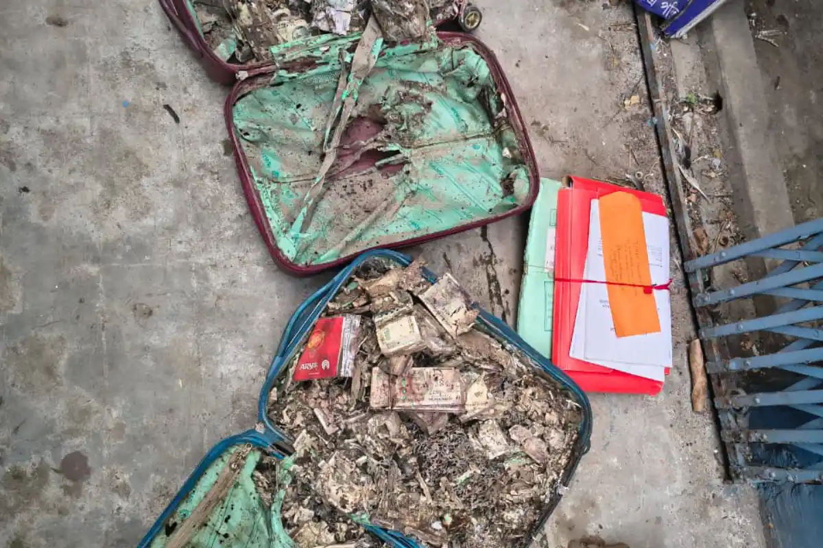 Surendranath College union room termite eaten money Kolkata: सुरेंद्रनाथ कॉलेज के यूनियन रूम की अलमारी से मिले लाखों रुपये, मामले को लेकर बढ़ी चर्चा