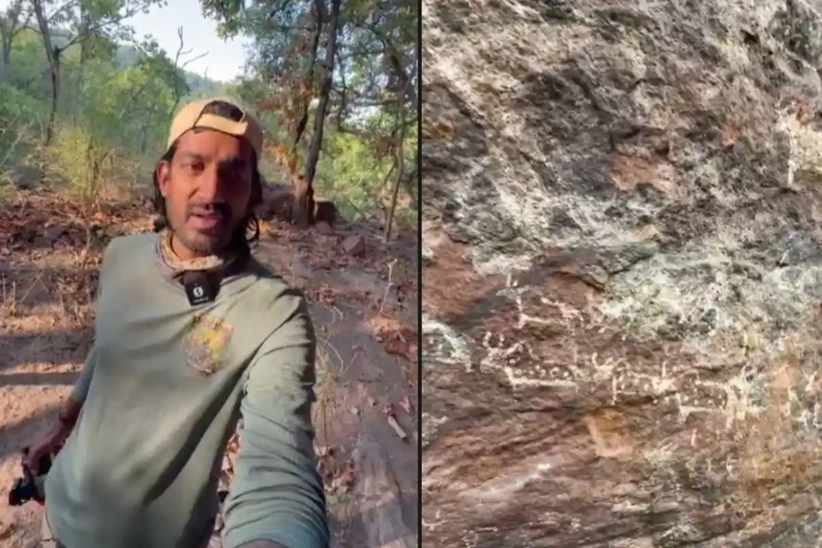 Ashish Yadav all India 58 Tiger Reserve Bike Journey: मोटरसाइकिल से भारत के सभी 58 टाइगर रिजर्व का सफर पूरा करने जा रहे हैं आशिष यादव