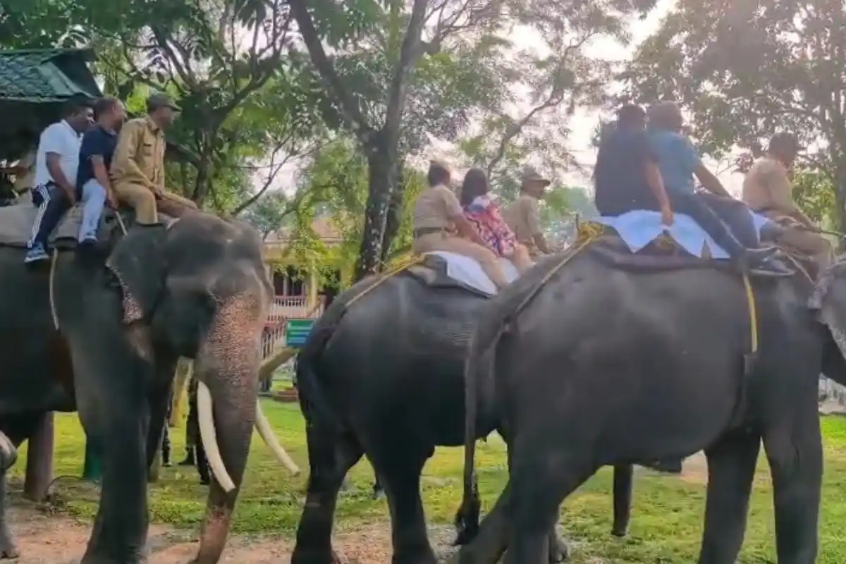 Dilip Ghosh Gorumara jungle safari Jalpaiguri: पत्नी के साथ जंगल सफारी पर निकले मंत्री, गोरुमारा के वन्यजीवों और प्राकृतिक सुंदरता का लिया आनंद