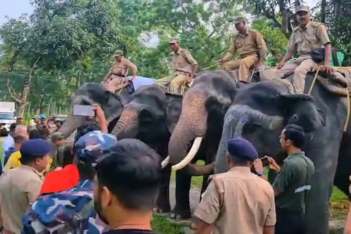 Dilip Ghosh Gorumara jungle safari Jalpaiguri: पत्नी के साथ जंगल सफारी पर निकले मंत्री, गोरुमारा के वन्यजीवों और प्राकृतिक सुंदरता का लिया आनंद