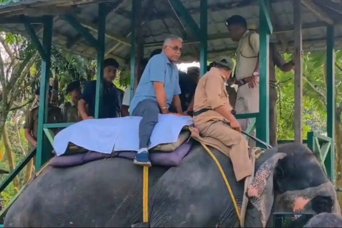 Dilip Ghosh Gorumara jungle safari Jalpaiguri: पत्नी के साथ जंगल सफारी पर निकले मंत्री, गोरुमारा के वन्यजीवों और प्राकृतिक सुंदरता का लिया आनंद