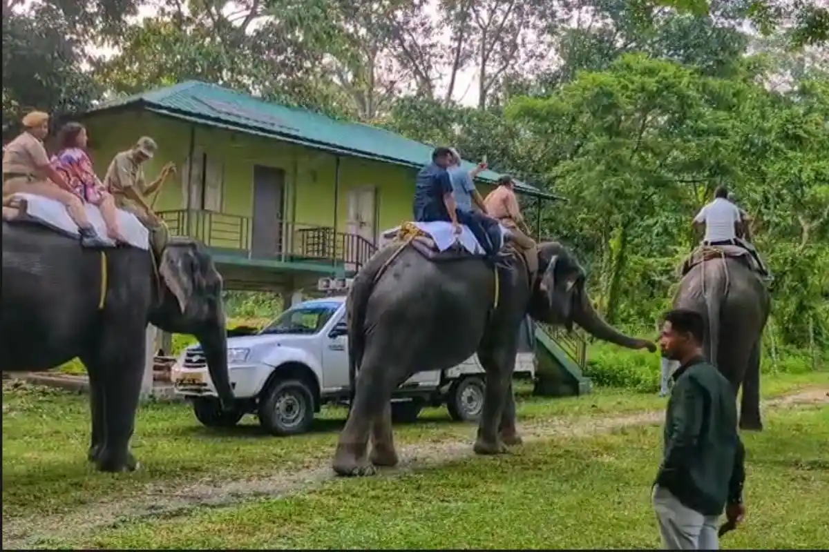 Dilip Ghosh Gorumara jungle safari Jalpaiguri: पत्नी के साथ जंगल सफारी पर निकले मंत्री, गोरुमारा के वन्यजीवों और प्राकृतिक सुंदरता का लिया आनंद