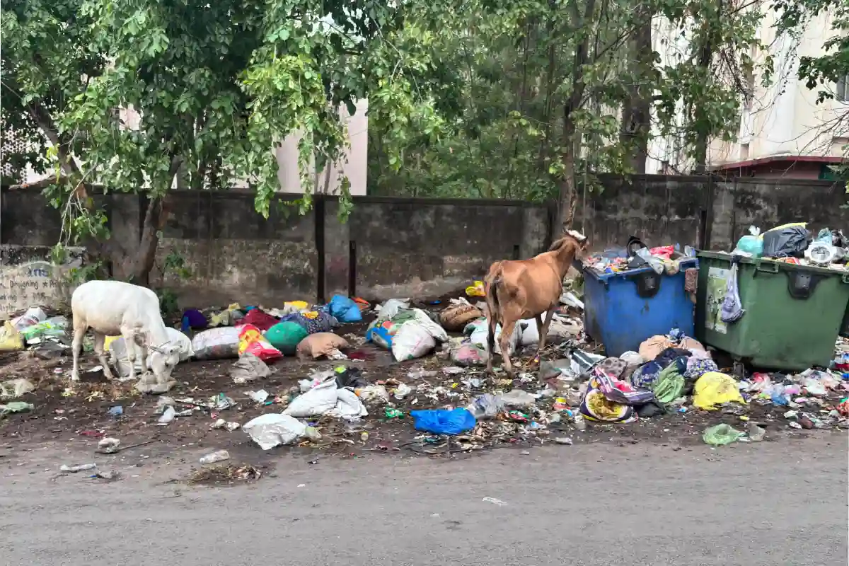 नागपुर: शहर भर में जगह-जगह कचरे के ढेर, कई दिनों से नहीं उठ रहा कचरा; कांग्रेस नगरसेवक अभिजीत झा ने उठाई आवाज