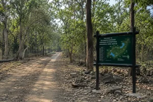 Gorewada Zoo leopard safari fight Nagpur: गोरेवाड़ा तेंदुआ सफारी में दो नर तेंदुओं की लड़ाई, एक की मौत, दूसरा गंभीर घायल