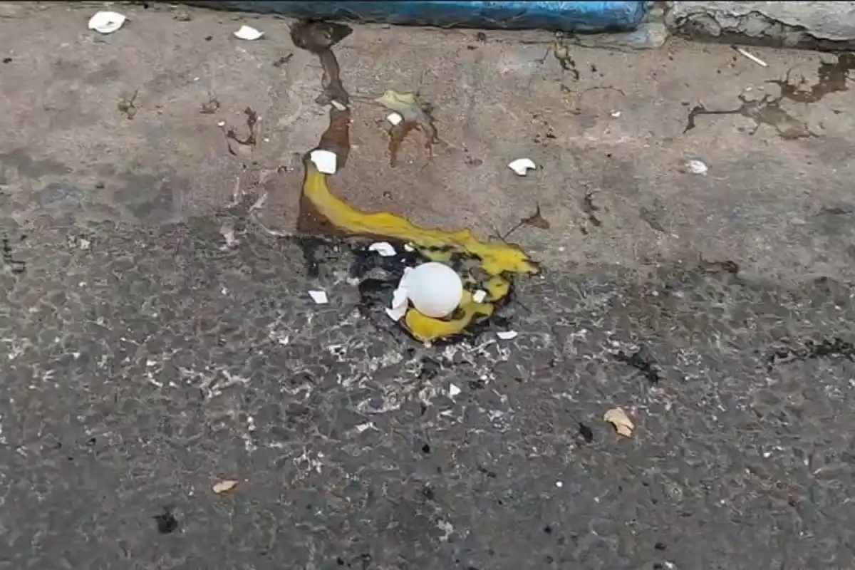 Kunal Ghosh egg attack Kalighat Kolkata: कालीघाट में ममता बनर्जी के घर के बाहर कुनाल घोष पर फेंका गया अंडा, राजनीतिक हलकों में चर्चा तेज