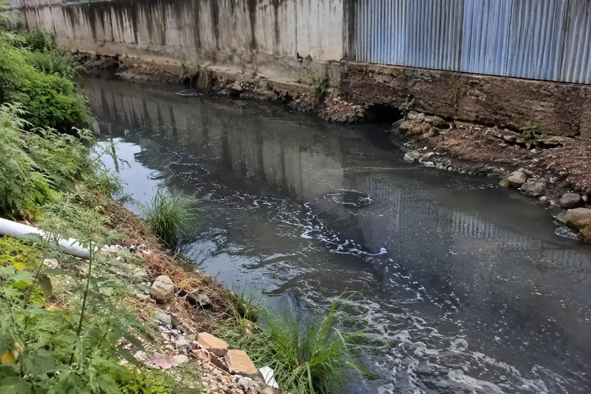 नागपुर में मदर डेयरी परिसर से दुर्गंध और गंदे पानी की शिकायत, जांच और कार्रवाई की मांग