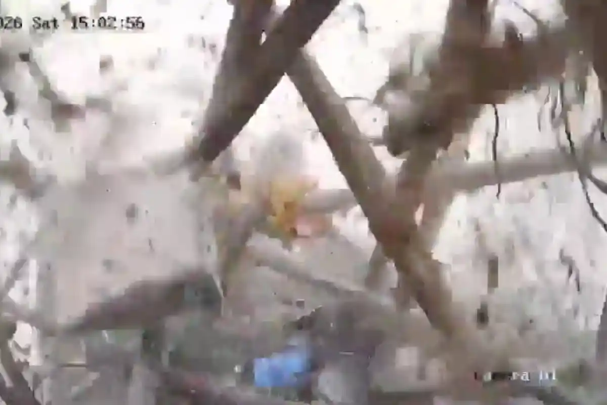 Parbhani temple roof collapse: महाराष्ट्र के परभणी में मंदिर की छत गिरने से बड़ा हादसा, कई लोगों के दबे होने की आशंका
