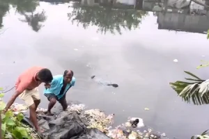 New Town Bagjola canal dead body found: न्यू टाउन के बागजोला नाले में अज्ञात व्यक्ति का शव मिला, पुलिस पूरे मामले की जांच में जुटी