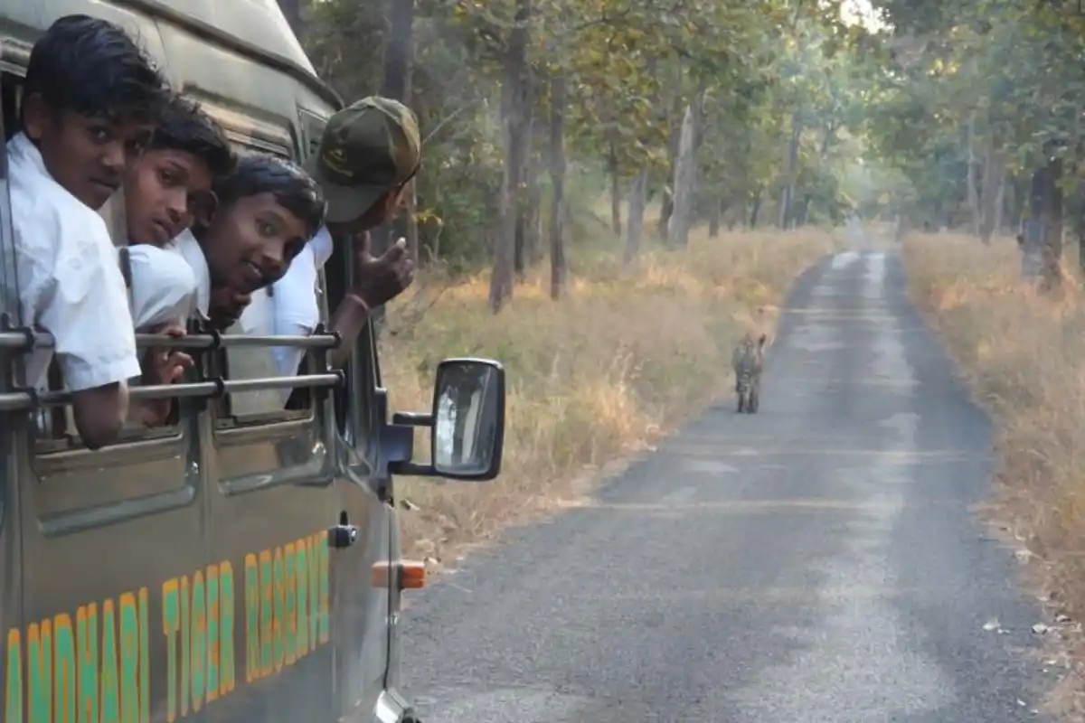 Tadoba Andhari Tiger Reserve wildlife ambassadors conservation program: ताडोबा में 20 वन्यजीव दूत चुने गए, 4,270 विद्यार्थियों को वन्यजीव संरक्षण और प्रकृति शिक्षा कार्यक्रम से जोड़ा गया