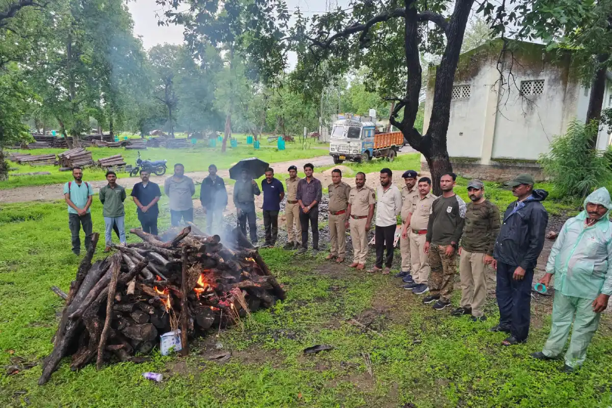Pauni leopard death vehicle collision last rites: नागपुर के पवनी वन क्षेत्र में वाहन की टक्कर से तेंदुए की मौत, तय नियमों के अनुसार किया गया अंतिम संस्कार