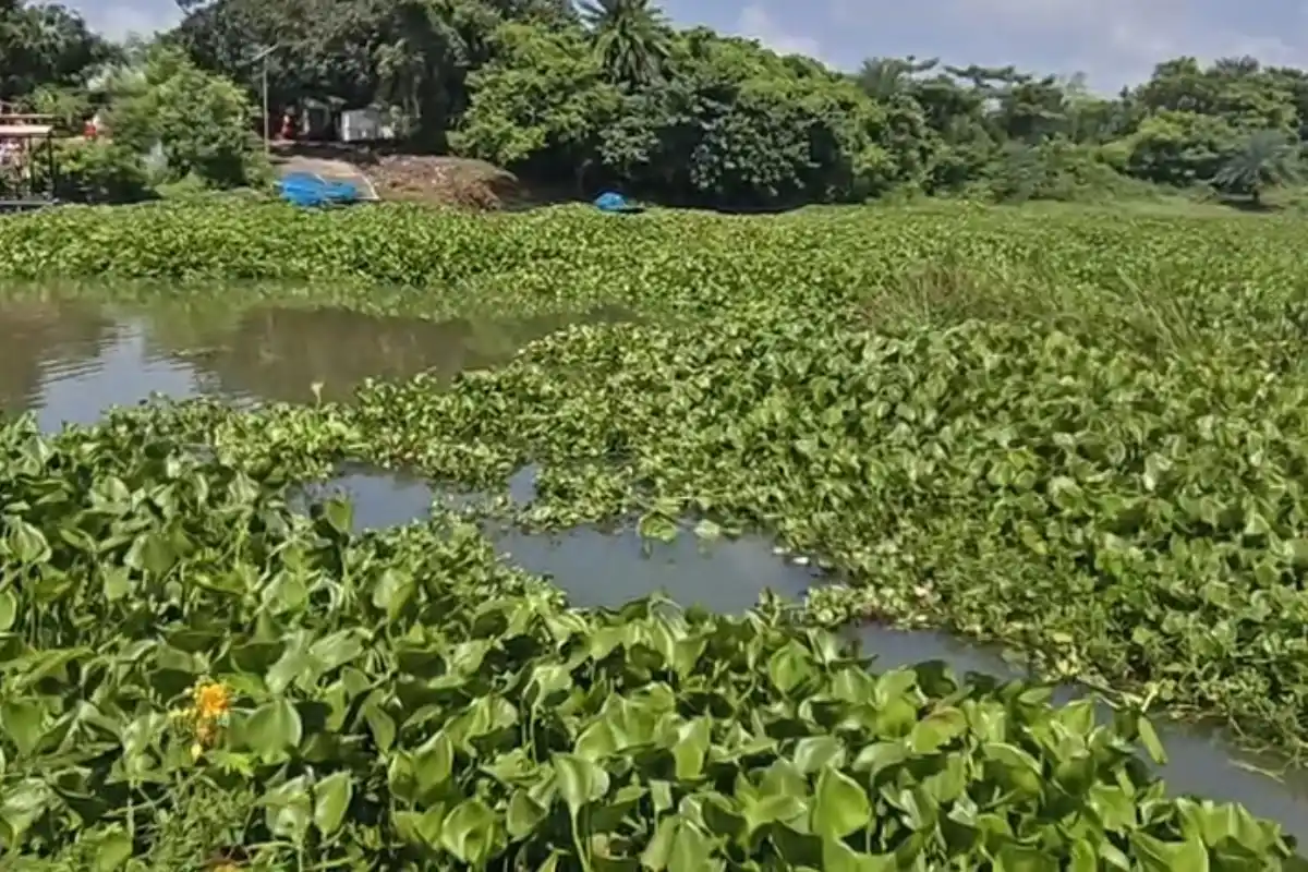 Farakka Jal Marg Vikas Project Jetty Safety: फरक्का के जल मार्ग विकास परियोजना की जेटियों पर सुरक्षा की कमी, यात्रियों ने जताई दुर्घटना की आशंका