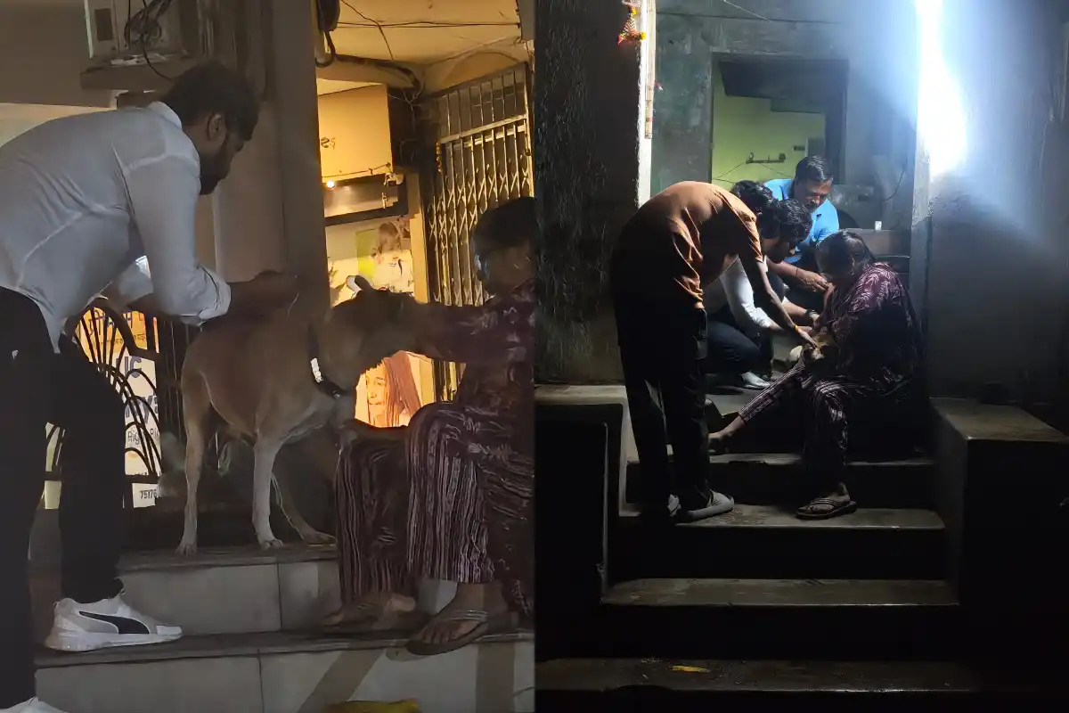 Nagpur Shivajinagar stray dogs rabies vaccination campaign: शिवाजीनगर में आवारा कुत्तों का रेबीज टीकाकरण अभियान सफल, नागपुर के अन्य क्षेत्रों में भी अभियान चलाने की तैयारी