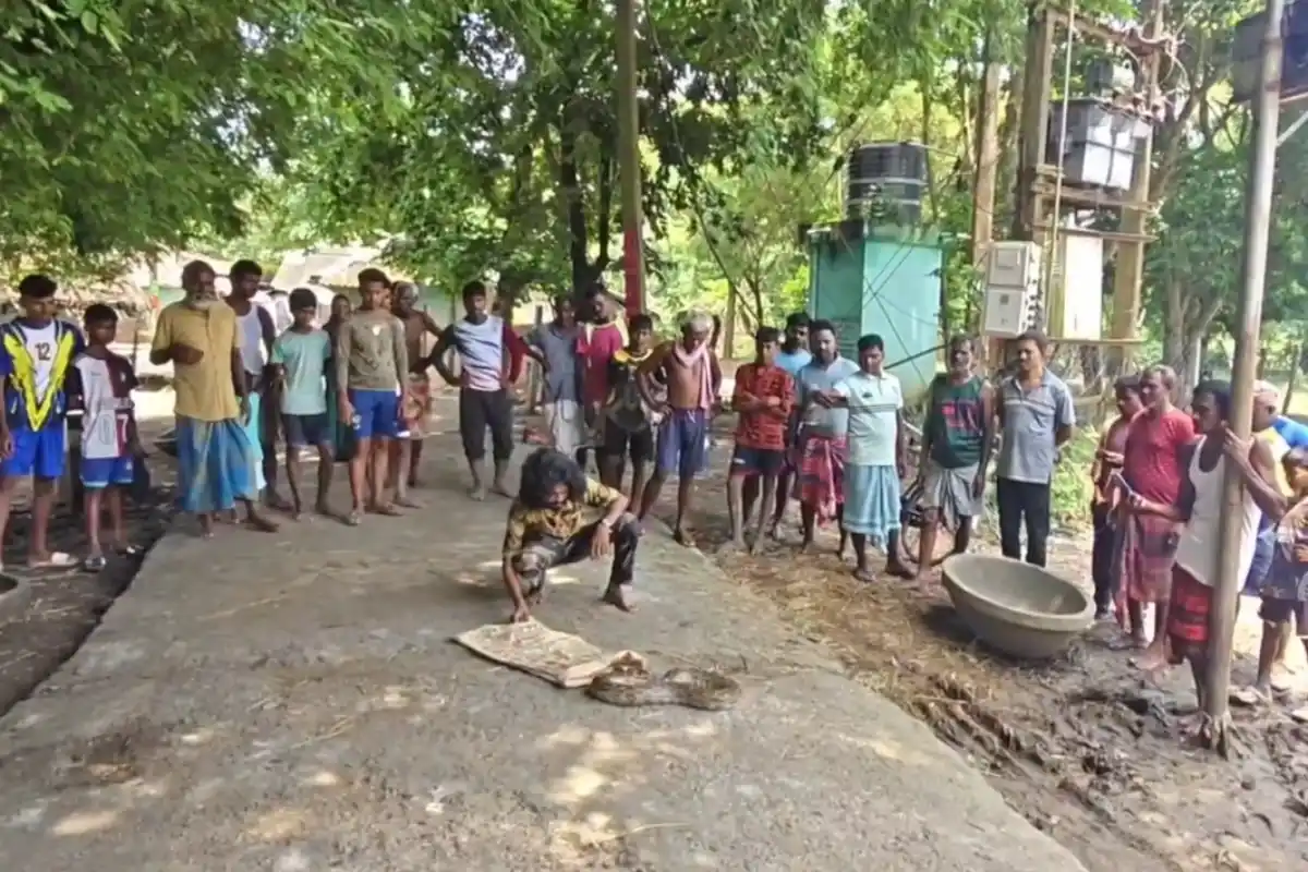 Jhargam Garigram Python Rescue: झाड़ग्राम के गड़ीग्राम में पानी पंप के कमरे से मिला विशाल अजगर, सुरक्षित बचाकर वन विभाग को सौंपा गया
