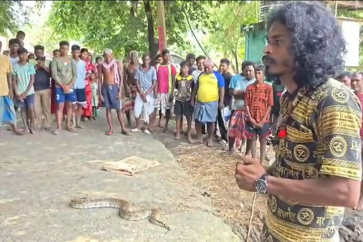Jhargam Garigram Python Rescue: झाड़ग्राम के गड़ीग्राम में पानी पंप के कमरे से मिला विशाल अजगर, सुरक्षित बचाकर वन विभाग को सौंपा गया