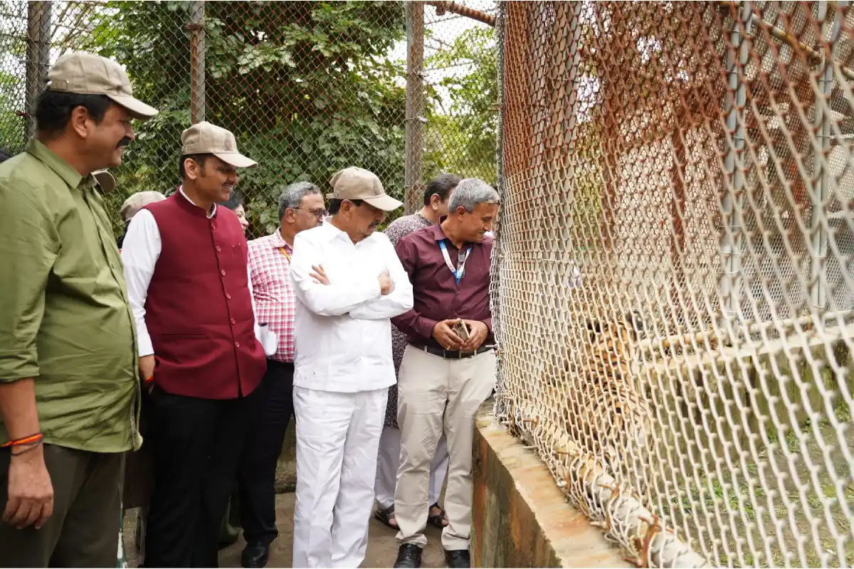 Gorewada International Zoo Nagpur CM Fadnavis visit: नागपुर में मुख्यमंत्री देवेंद्र फडणवीस ने गोरेवाड़ा अंतरराष्ट्रीय प्राणी संग्रहालय का किया दौरा