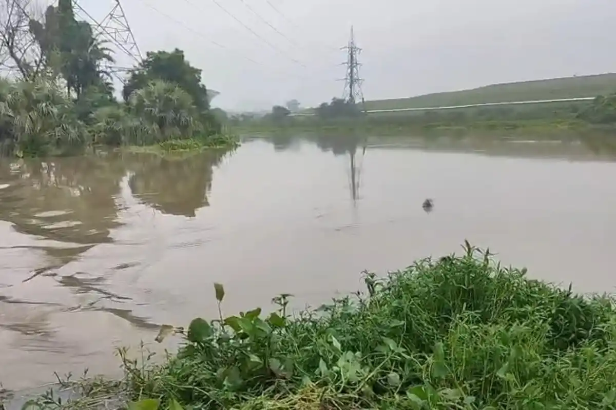 Farakka Nishinda Katan Road Waterlogging: मुर्शिदाबाद के फरक्का में फिर पानी में डूबी अहम सड़क, निशिंदा-काटान के लोगों की बढ़ी परेशानी